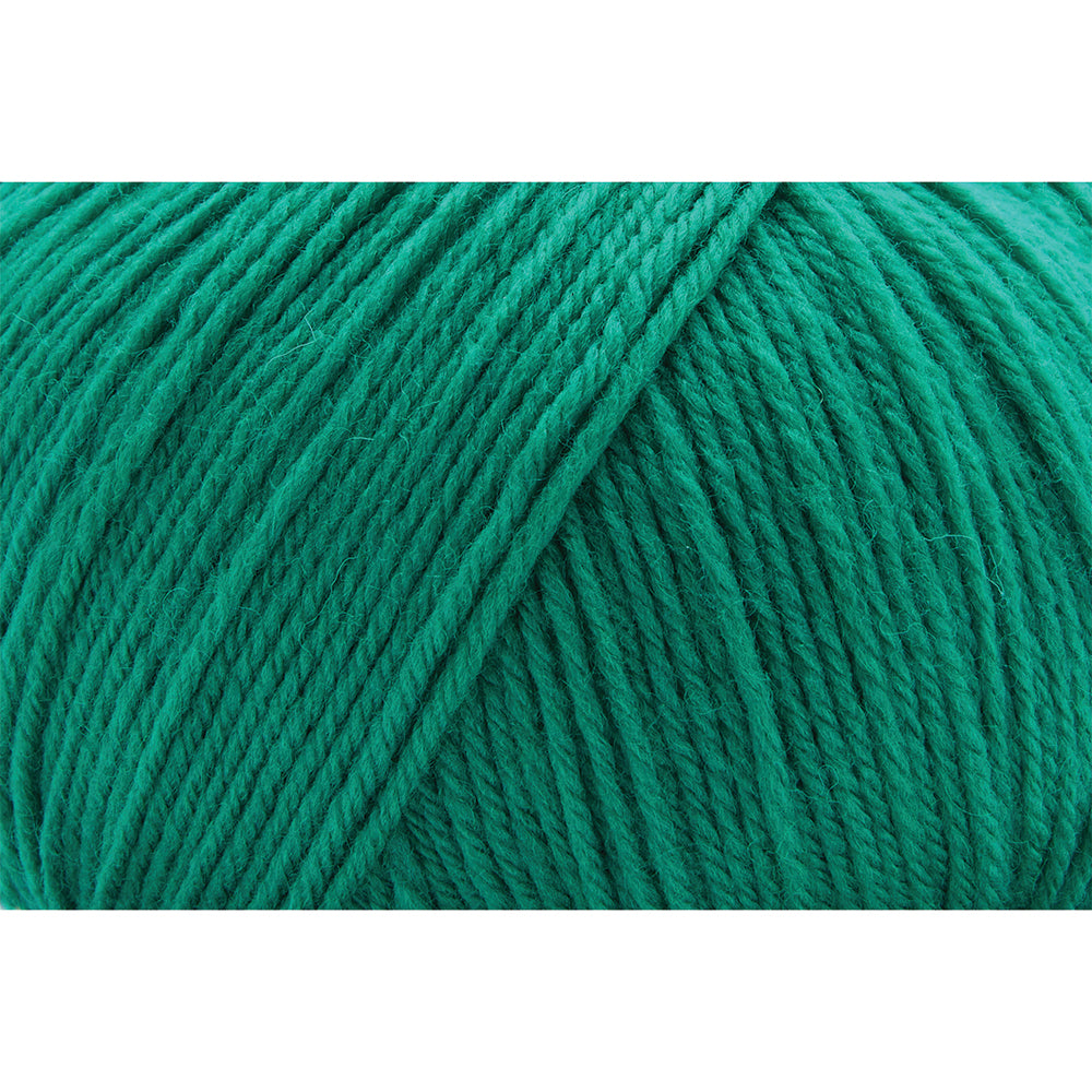 UNIVERSAL Deluxe Worsted Superwash Yarn 100 g/218 yd (200 m) Mistletoe