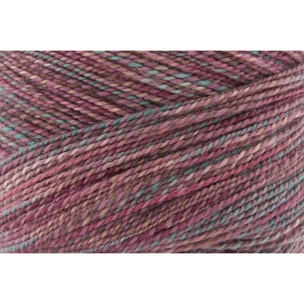 FIBRA NATURA Cobblestone Superwash Merino Yarn 200 g / 560 m (612 yd) Dried Flowers