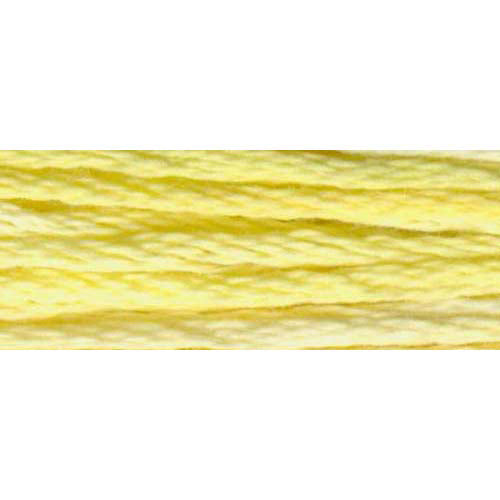 DMC Colour Variations Embroidery Floss 8 m (8.7 yd) Shade 4080