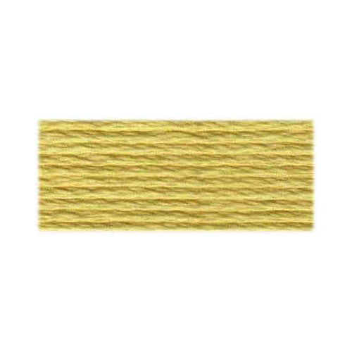 DMC 117 Cotton 6-Strand Floss 8 m (8.7 yd), Shade 677
