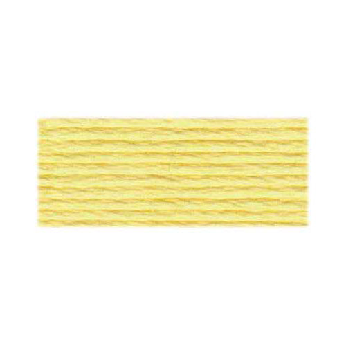 DMC Mouline Special 117 6‑Strand Floss 8 m, Colour 3078