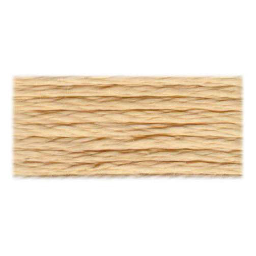DMC Satin Floss 6-Strand, 8 m (8.7 yd), Colour Code S738