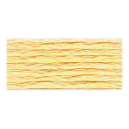 DMC Satin Floss 6-Strand, 8 m (8.7 yd), Colour Code S744