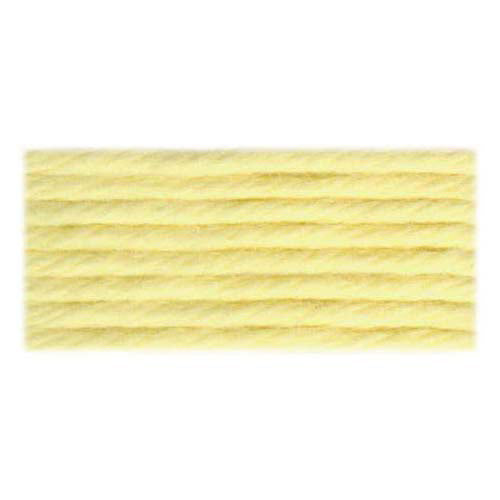 DMC Soft Cotton Matte Tapestry Thread 10 m Colour 2745