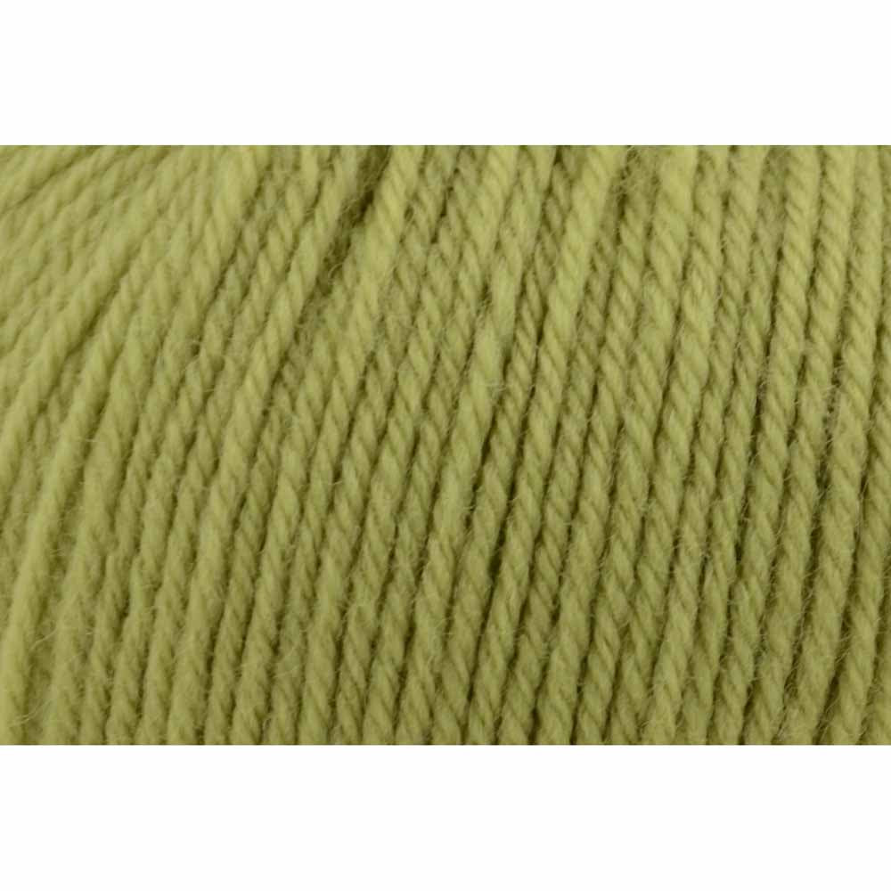 UNIVERSAL Deluxe Worsted Superwash wool yarn Lime Tree, 100 g / 199 m (218 yd)