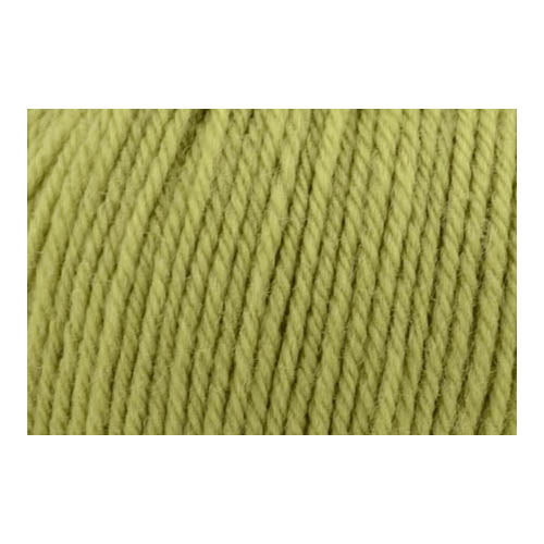 UNIVERSAL Deluxe Bulky Superwash Yarn 100 g / 97 m, Lime Tree