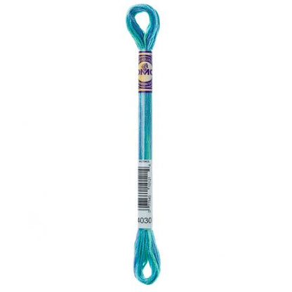 DMC Colour Variations Embroidery Floss 8 m (8.7 yd) Shade 4030