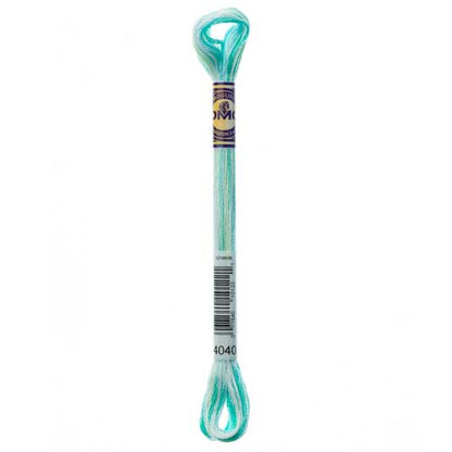 DMC Colour Variations Embroidery Floss 8 m (8.7 yd) Shade 4040