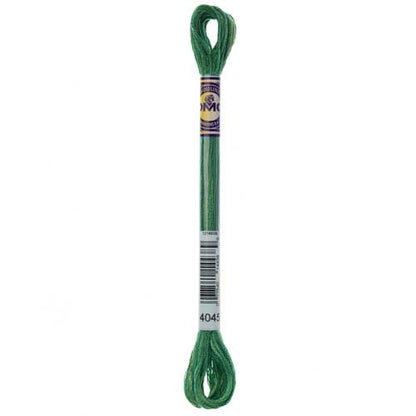 DMC Colour Variations Embroidery Floss 8 m (8.7 yd) Shade 4045