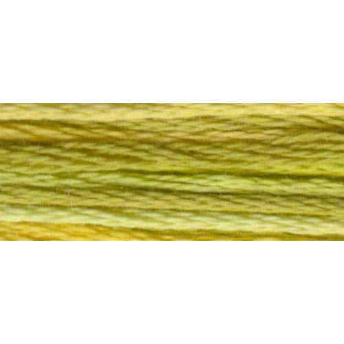 DMC Colour Variations Embroidery Floss 8 m (8.7 yd) Shade 4070