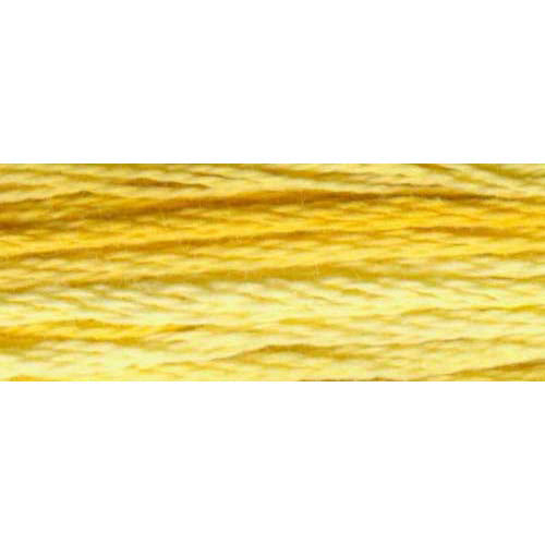 DMC Colour Variations Embroidery Floss 8 m (8.7 yd) Shade 4075