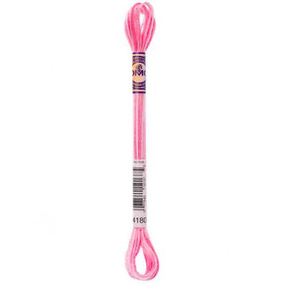 DMC Colour Variations 6-Strand Cotton Floss 4180 Rose Petals, 8 m