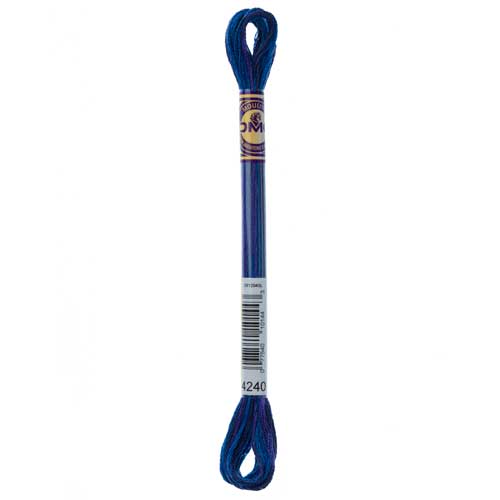 DMC Colour Variations 6-strand embroidery floss, Mid Summer Night 4240, 8 m