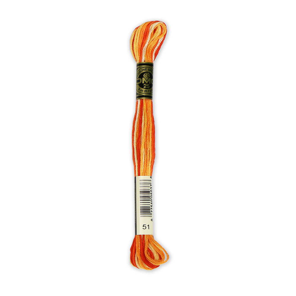 DMC 117 6-Strand Cotton Embroidery Floss 8 m - 51