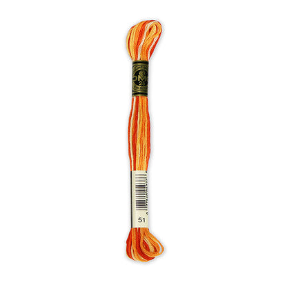 DMC 117 6-Strand Cotton Embroidery Floss 8 m - 51
