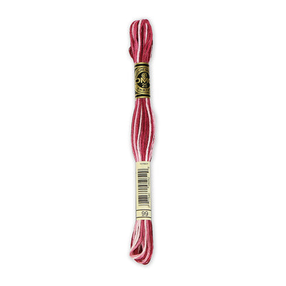 DMC 117 6-Strand Cotton Embroidery Floss 8 m - 99