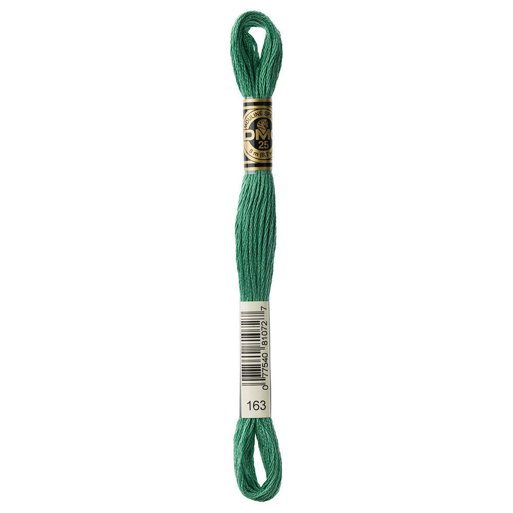 DMC 117 6‑Strand Cotton Embroidery Floss 8 m - 163