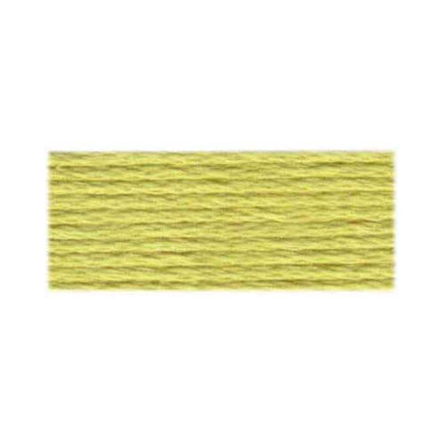 DMC 117 Cotton 6-Strand Embroidery Floss 8 m - 165 V Lt Moss Green