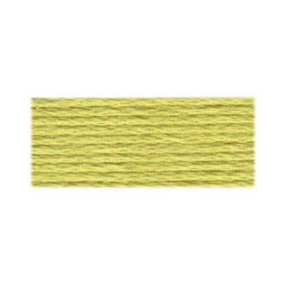 DMC 117 Cotton 6-Strand Embroidery Floss 8 m - 165 V Lt Moss Green
