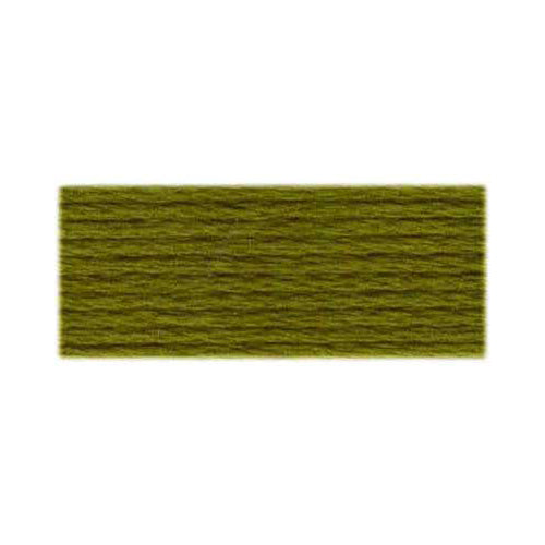 DMC 117 Cotton 6-Strand Embroidery Floss 8 m - 580 Dark Moss Green
