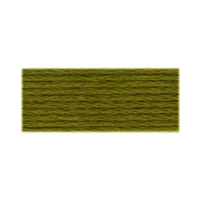 DMC 117 Cotton 6-Strand Embroidery Floss 8 m - 580 Dark Moss Green