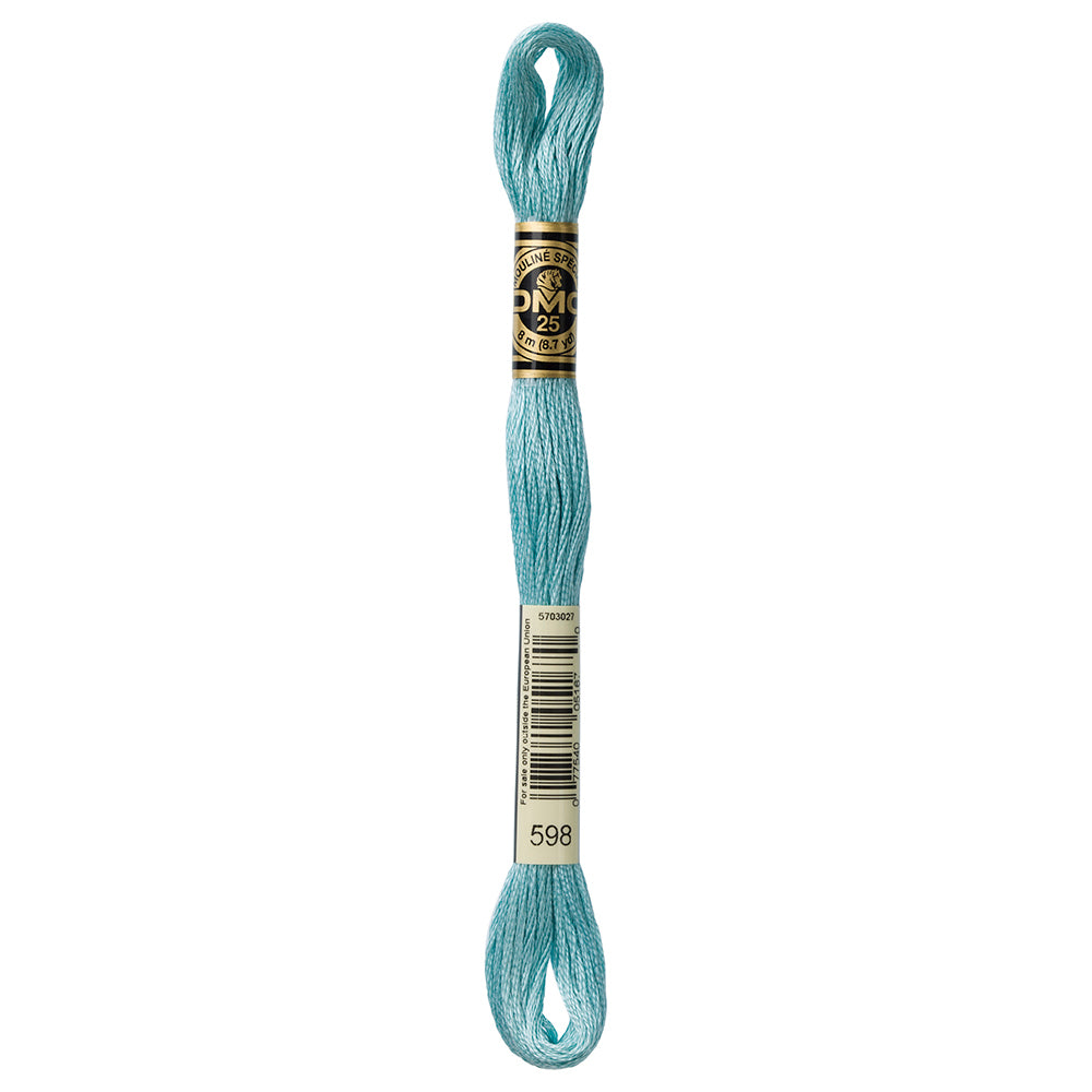 DMC Cotton 6-Strand Embroidery Floss, 8 m, Colour 598