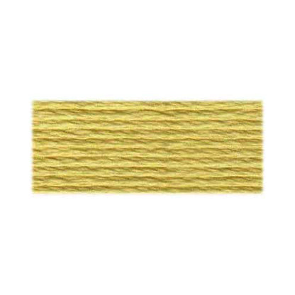 DMC 117 Cotton 6-Strand Floss 8 m (8.7 yd), Shade 677