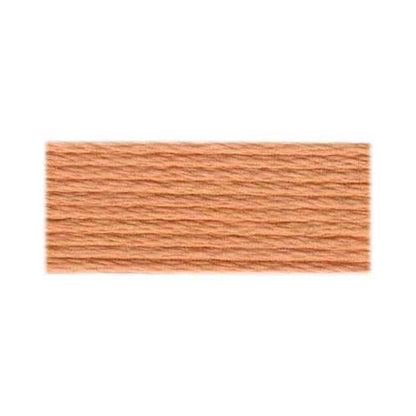 DMC #117 Cotton 6-Strand Floss 8 m - Very Light Sea Green (758)