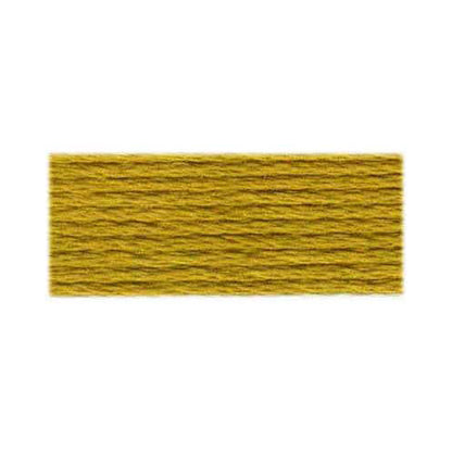 DMC Mouliné Spécial 117 6-Strand Cotton Floss 8 m Shade 833
