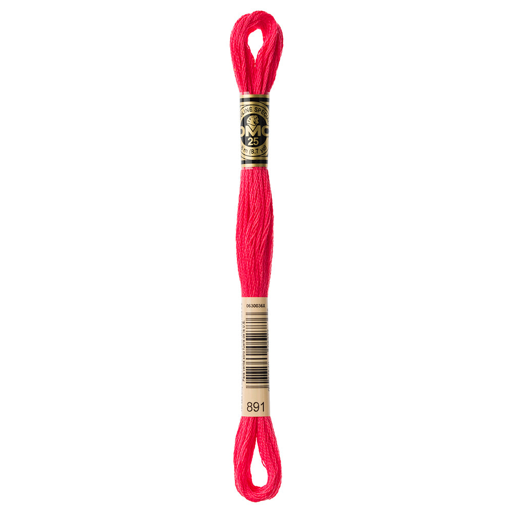 DMC Mouliné Spécial 117 6-Strand Cotton Floss 8 m Shade 891