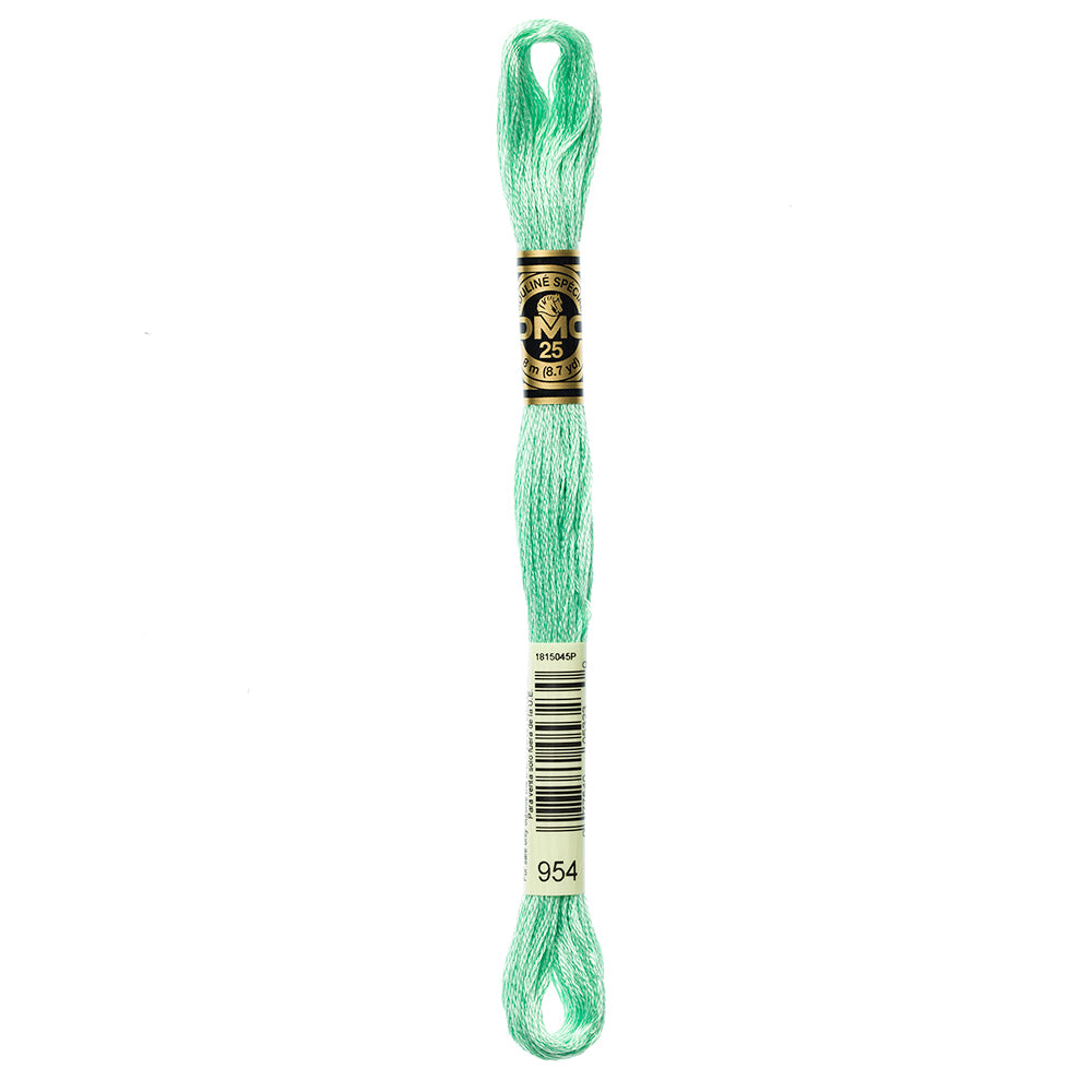 DMC 117 6-strand cotton embroidery floss, Colour 954, 8 m (8.7 yd)