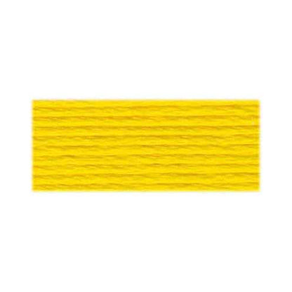 DMC #117 Cotton 6-Strand Embroidery Floss 8 m Colour 973 - image 2