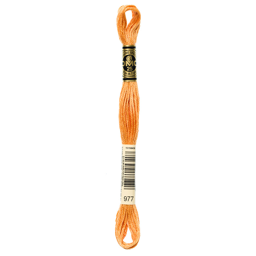 DMC #117 Cotton 6-Strand Embroidery Floss 8 m Colour 977