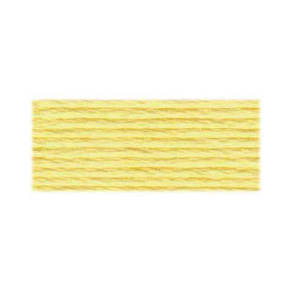 DMC Mouline Special 117 6‑Strand Floss 8 m, Colour 3078