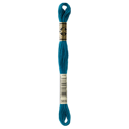 DMC 117 Mouline Special 25 Cotton 6-Strand Floss 8 m, Colour 3809