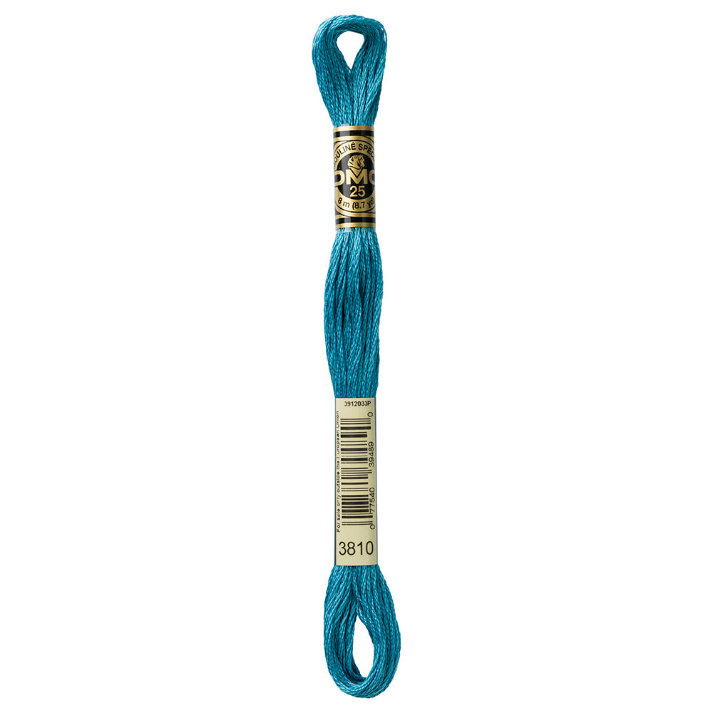 DMC Mouliné Spécial stranded embroidery floss, Colour 3810, 8 m (8.7 yd)