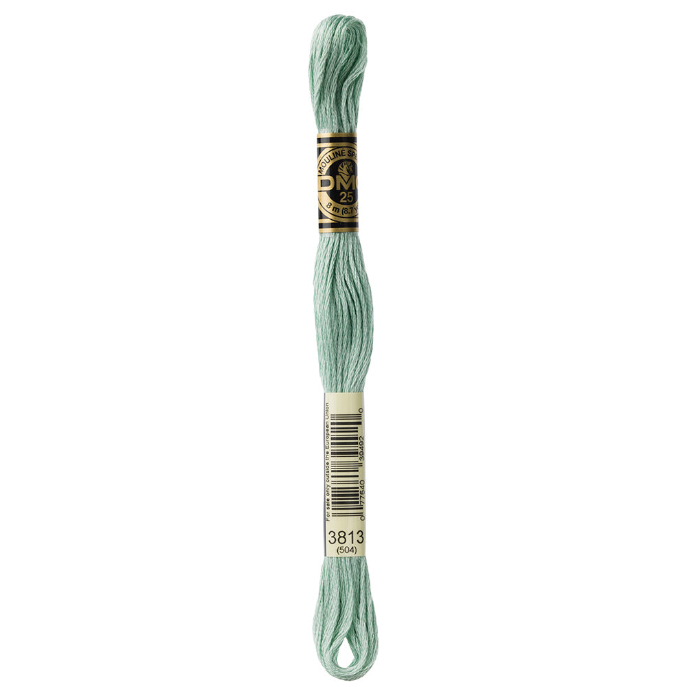 DMC Mouliné Spécial Stranded Embroidery Floss 8 m Colour 3813