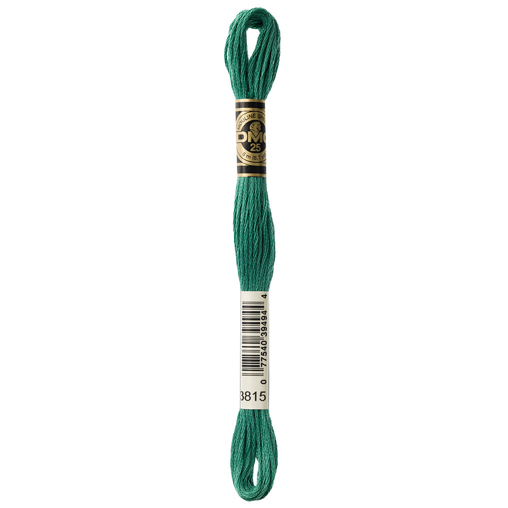 DMC Mouliné Spécial Stranded Embroidery Floss 8 m Colour 3815