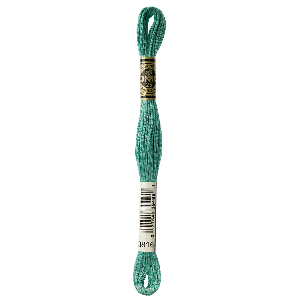 DMC Mouliné Spécial Stranded Embroidery Floss 8 m Colour 3816