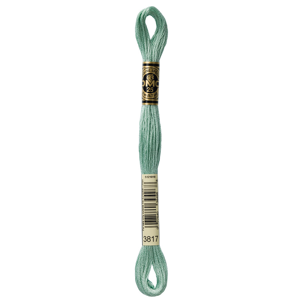 DMC Mouliné Spécial Stranded Embroidery Floss 8 m Colour 3817