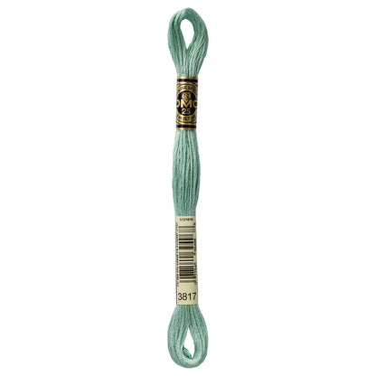 DMC Mouliné Spécial Stranded Embroidery Floss 8 m Colour 3817