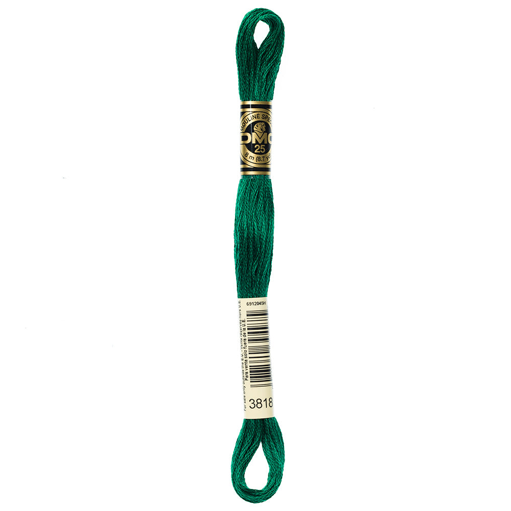 DMC Mouliné Spécial stranded embroidery floss, Colour 3818, 8 m (8.7 yd)