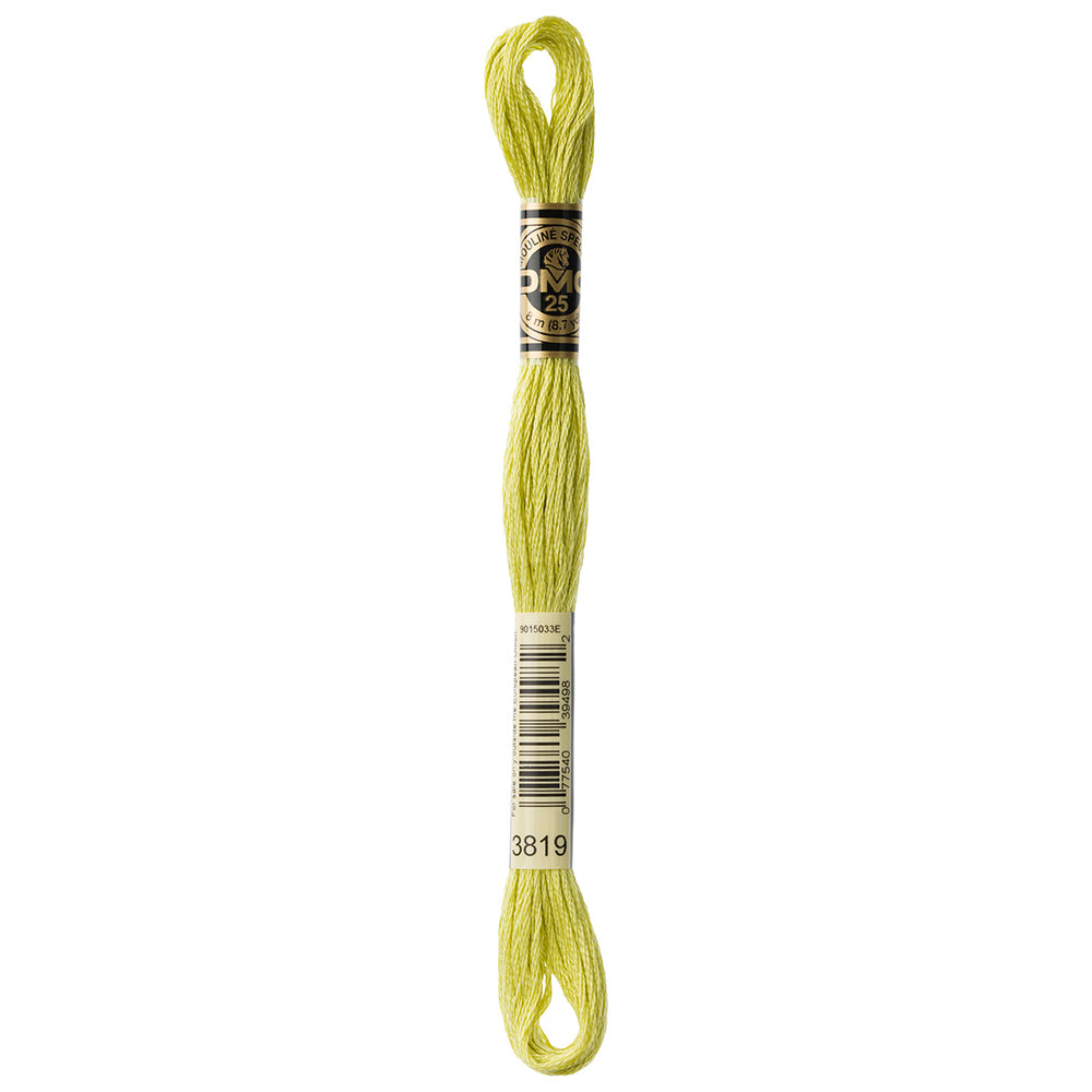 DMC Mouliné Spécial Stranded Embroidery Floss 8 m Colour 3819