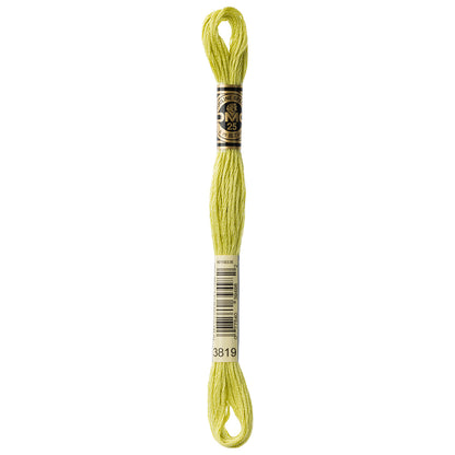 DMC Mouliné Spécial Stranded Embroidery Floss 8 m Colour 3819