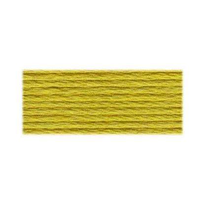 DMC Mouliné Spécial Stranded Embroidery Floss 8 m Colour 3819