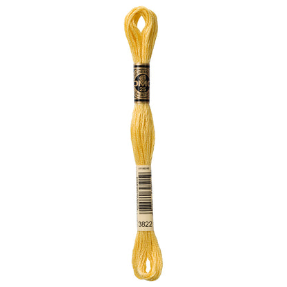 DMC Mouliné Spécial Stranded Embroidery Floss 8 m Colour 3822