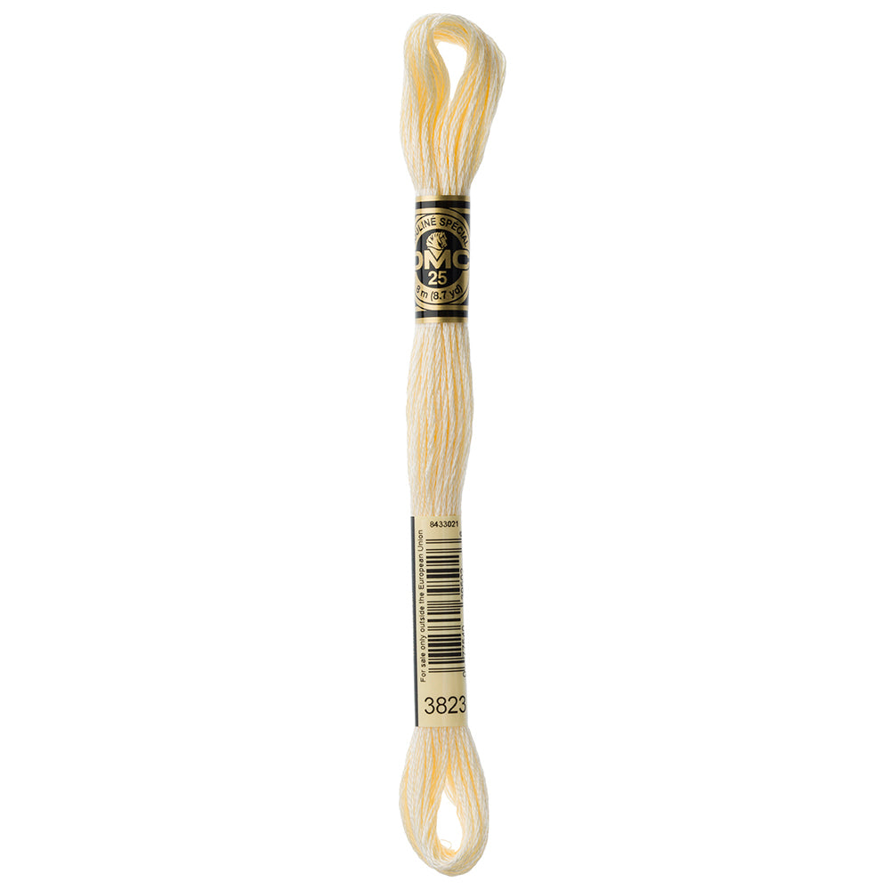 DMC Mouliné Spécial Stranded Embroidery Floss 8 m Colour 3823