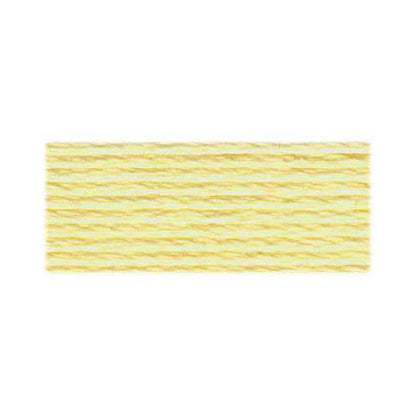DMC Mouliné Spécial Stranded Embroidery Floss 8 m Colour 3823