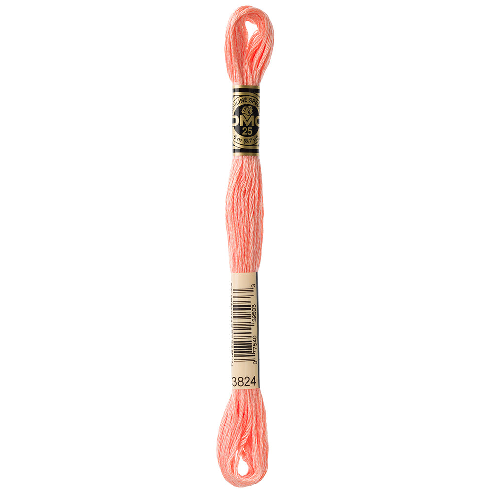 DMC Mouliné Spécial Stranded Embroidery Floss 8 m Colour 3824