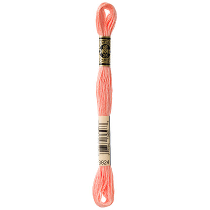 DMC Mouliné Spécial Stranded Embroidery Floss 8 m Colour 3824